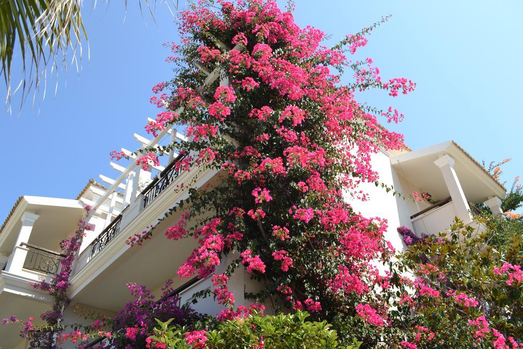 Delfino Blu Wellness Boutique Hotel 에이지오스스테파노스 외부 사진